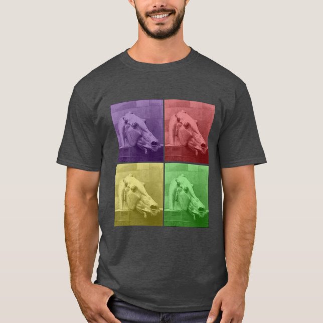 Horse of a different colour T-Shirt (Front)