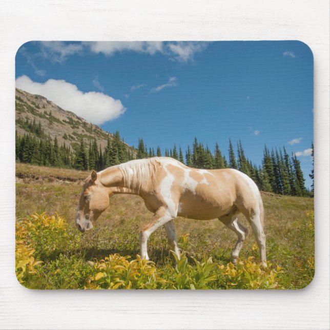 Horse on Grasses in an Alpine Meadow in Summer Mouse Pad (Front)
