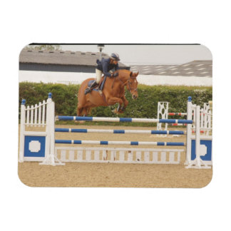 Horse Over Fence Flexible Magnet