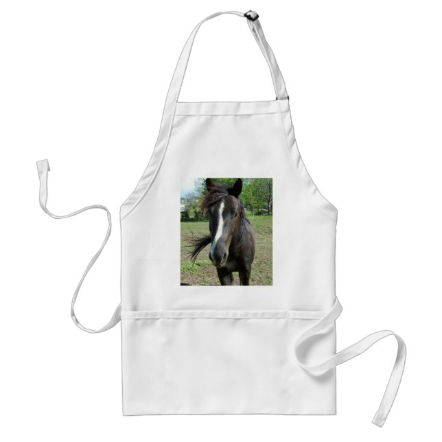 Horse Paint Standard Apron (Front)