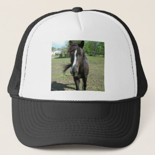 Horse Paint Trucker Hat