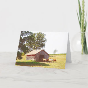 Horse Pasture all occasions Card