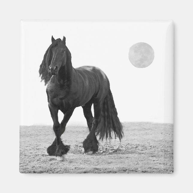 Horse perfect magnet (Front)