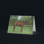 Horse Personalised Granddaughter Birthday Card<br><div class="desc">Greeting card horse granddaughter birthday card. Customise this birthday card with any text then have it printed and sent to you or instantly download it to your mobile device. Should you require any help with customising then contact us through the link on this page. Wildlife photography personalised granddaughter birthday card...</div>