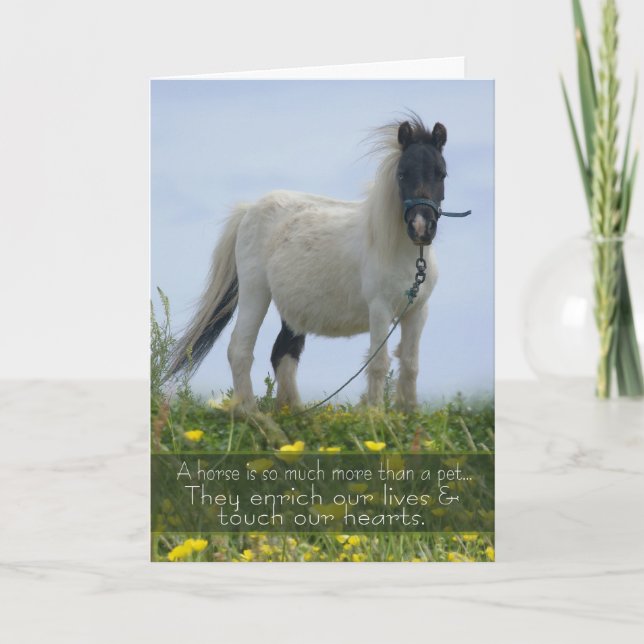 Horse Pet Sympathy Card - Equine Sympathy - Pit Po (Front)