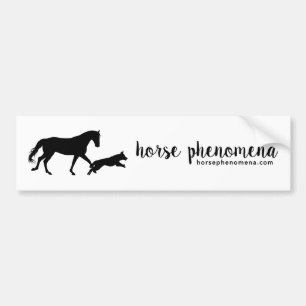 Horse Phenomena Bumper Sticker