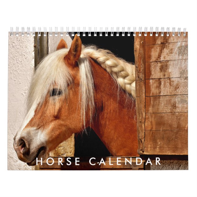 Horse Photo Calendar 2026 Beautiful Wall Calendar (Cover)