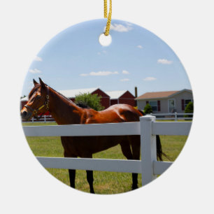 Horse Photo Ceramic Ornament