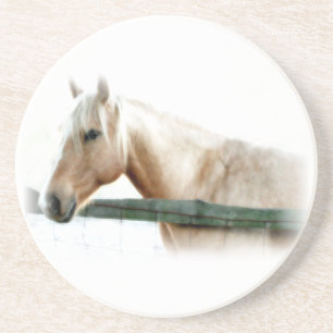 Horse Photo Coaster