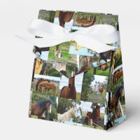 Horse Photo Collage,