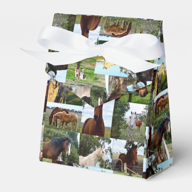 Horse Photo Collage, Favour Box (Front Side)