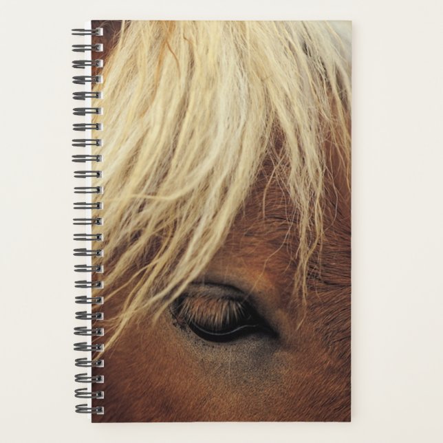 Horse Photo Equine Horse White Mane Planner (Front)