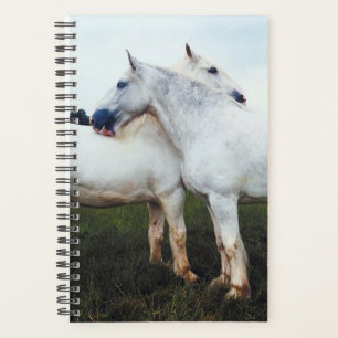 Horse Photo Equine Percherons Grooming Each Other Planner