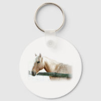 Horse Photo