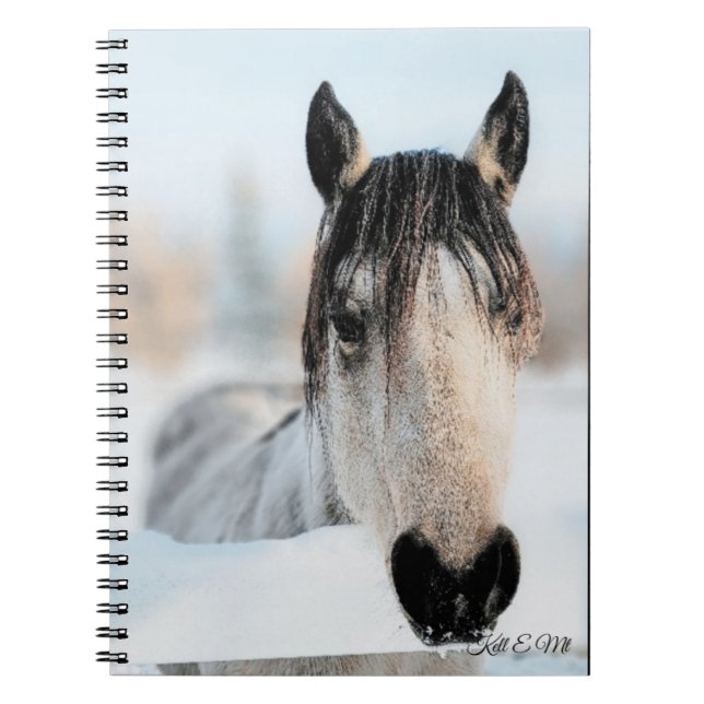 Horse Photo Notebook (Front)