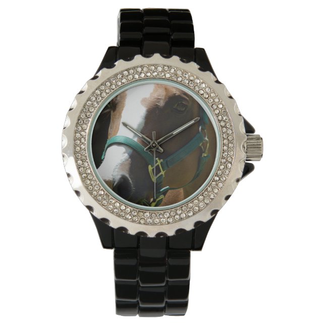 Horse Photograph On Womens Watch (Front)