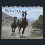Horse Photographs for Horse Lovers Calendar<br><div class="desc">Twelve months of beautiful horse photographs,   every horse crazy person will love.</div>
