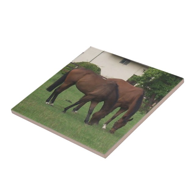 Horse Photography Tile (Side)