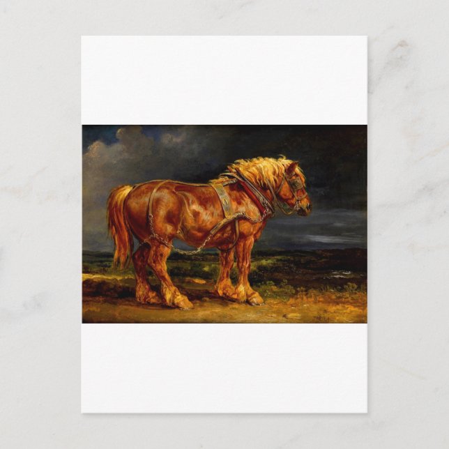 horse-pictures-11 postcard (Front)