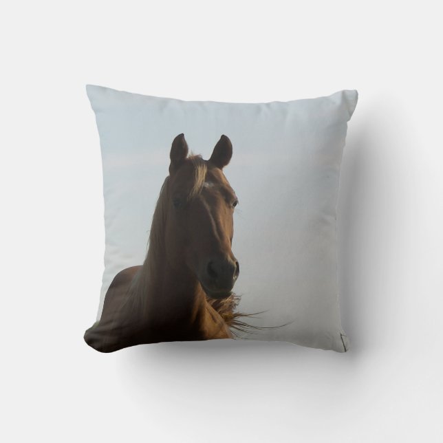 Horse pillow (Front)