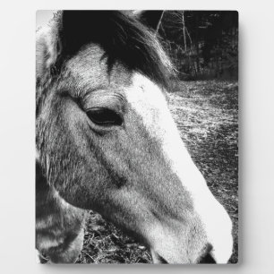 Horse Plaque