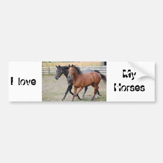 Horse Play Bumper Sticker (Front)