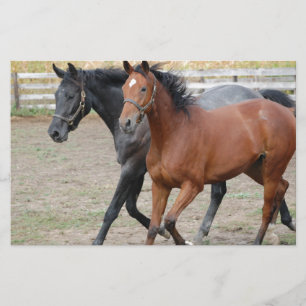 Horse Play Stationery