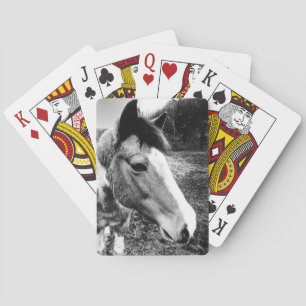 Horse Playing Cards