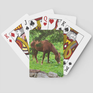 Horse Playing Cards