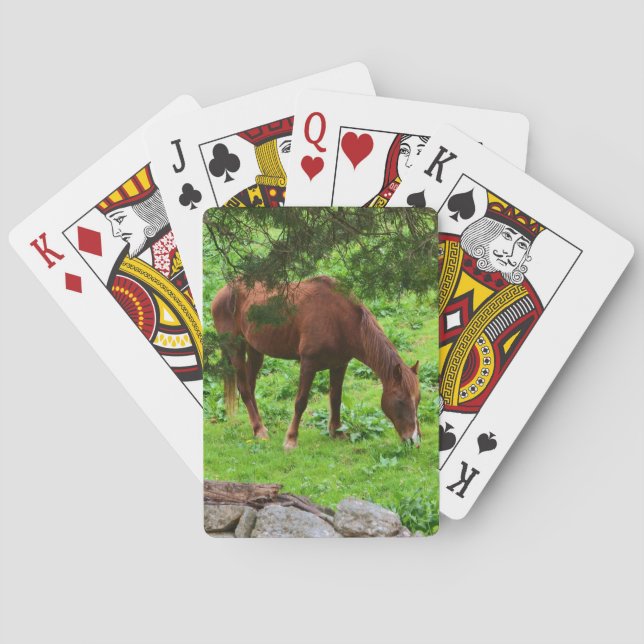 Horse Playing Cards (Back)