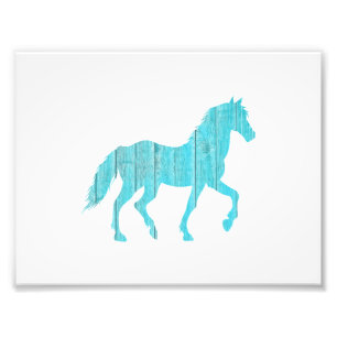 horse pony  animal  stallion,  mustang  silhouette photo print