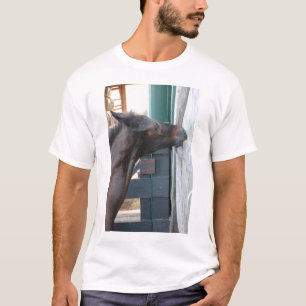 Horse/Pony Bite Humour T-Shirt