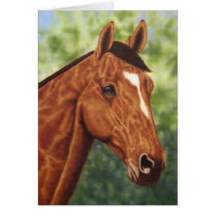 Horse Portrait