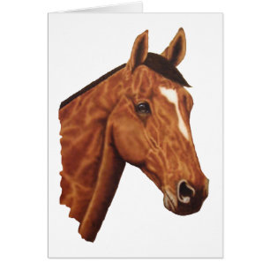 Horse Portrait