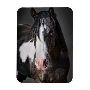 Horse Portrait II Magnet