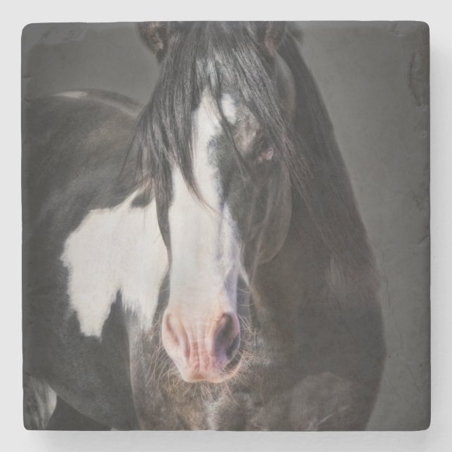 Horse Portrait II Stone Coaster (Front)