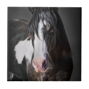 Horse Portrait II Tile