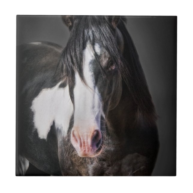 Horse Portrait II Tile (Front)