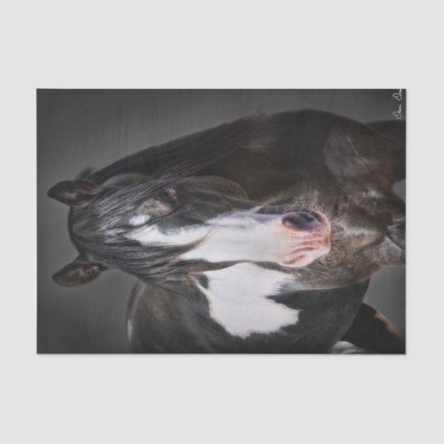 Horse Portrait II Tissue Paper (Front)