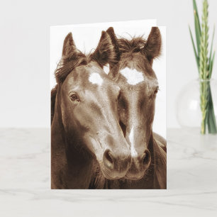 Horse Portrait III Card