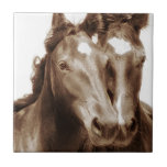 Horse Portrait III Ceramic Tile<br><div class="desc">Animals</div>
