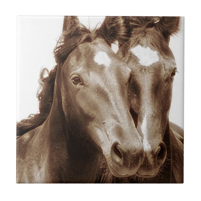 Horse Portrait III Ceramic Tile (Front)