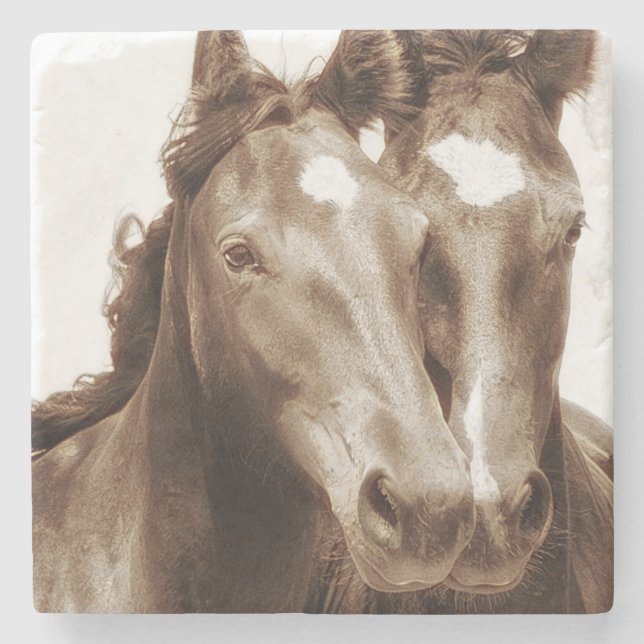 Horse Portrait III Stone Coaster (Front)