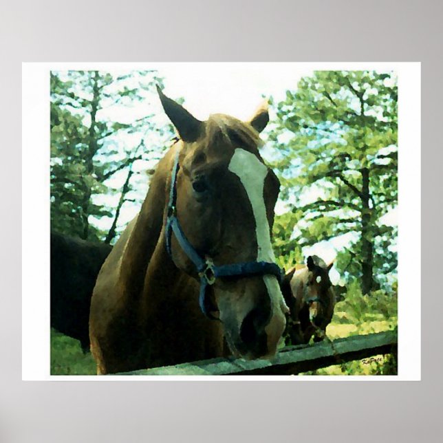 Horse Portrait ll Poster (Front)