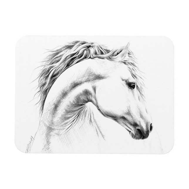 Horse portrait pencil drawing Equestrian art Magnet (Horizontal)
