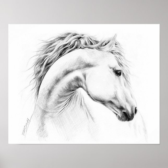 Horse portrait Pencil drawing Equestrian art Poster (Front)