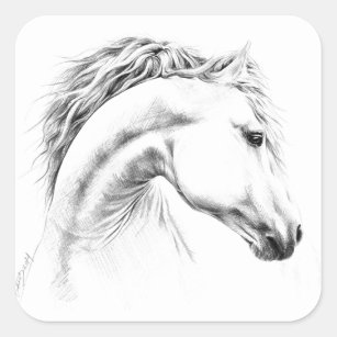 Horse portrait pencil drawing Equestrian art Square Sticker