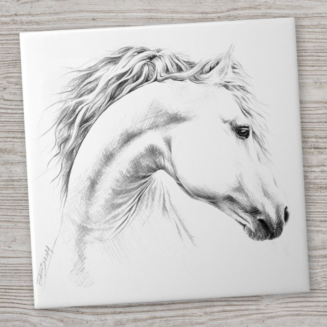 Horse portrait pencil drawing Equestrian art Tile (Creator Uploaded)