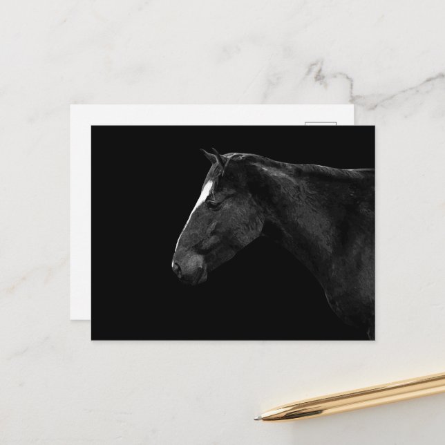 Horse portrait postcard (Front/Back In Situ)