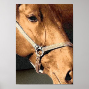 Horse Portrait Poster